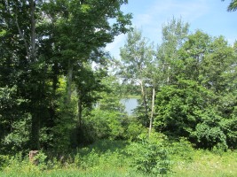 View from picnic pavilion