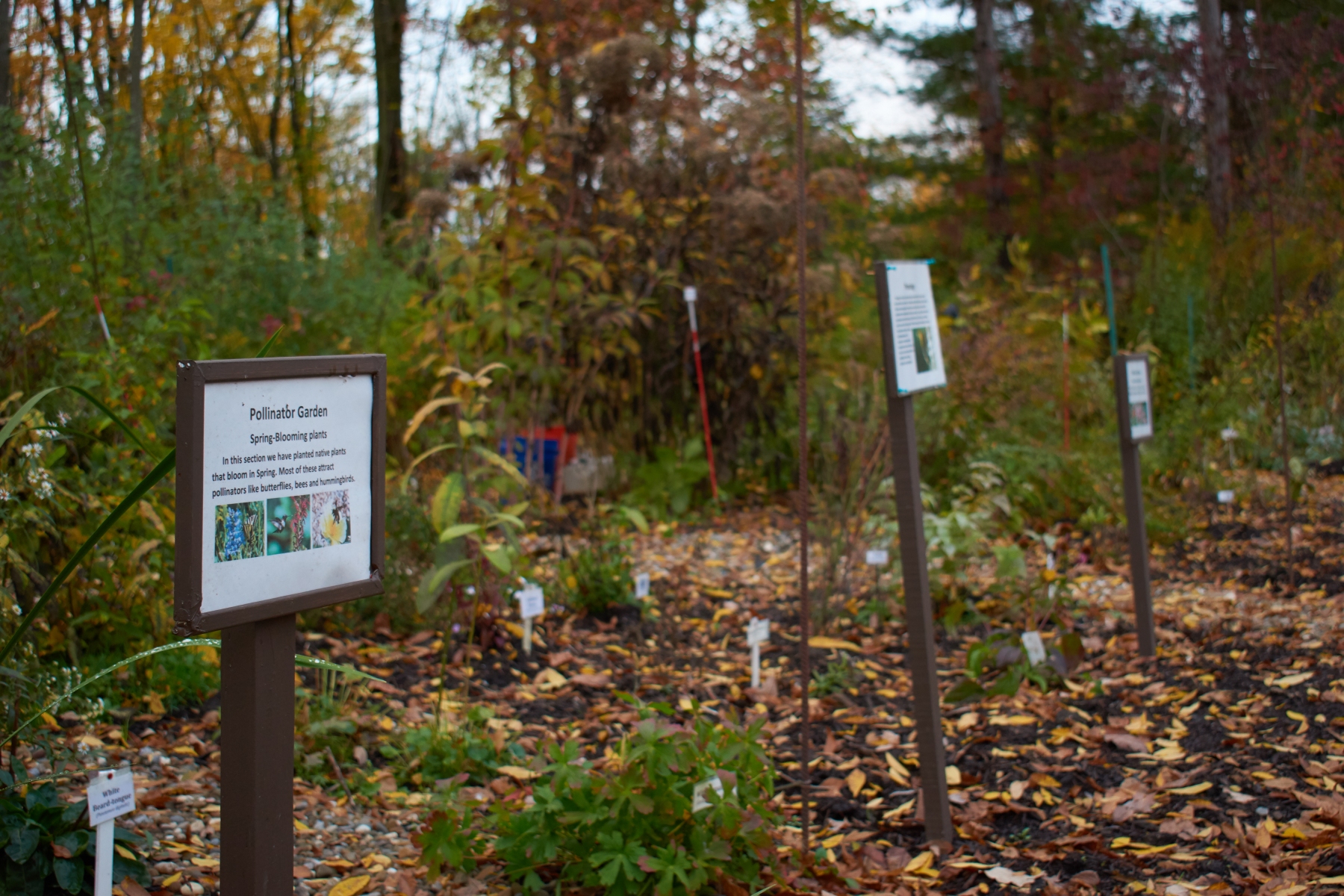 Original Tour – Moebius Nature Center